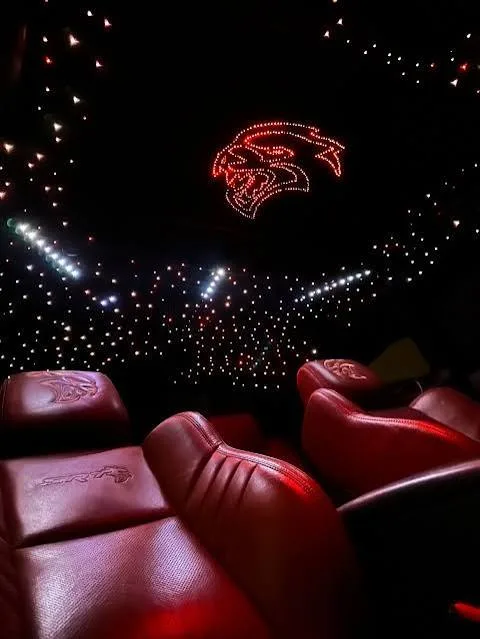 Custom Hellcat logo traced in fiber-optic strands across a starlight headliner